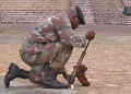 DSCN0134