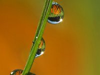 Herbstzeit im Graeseruniversum