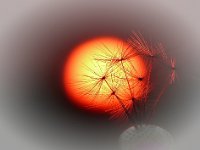 Sonnenuntergang 2