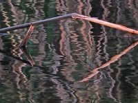 Spiegelungen im Wasser
