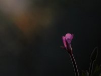 06031102a