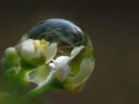 07050901