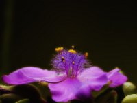 08061001