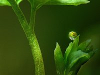 09041101a
