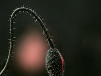 11061103